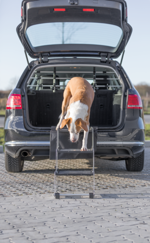 3-stufige Falttreppe - 37 cm / bis zu 57 cm