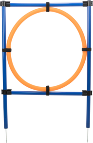 Fun Agility Ring