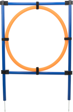 Fun Agility Ring