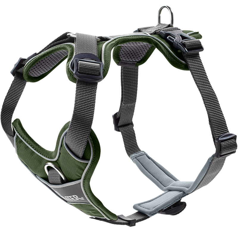 HUNTER Geschirr Divo