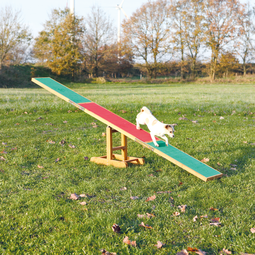 Dog Activity Agility Wippe - 300 × 54 × 34 cm
