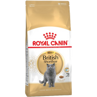 ROYAL CANIN British Shorthair