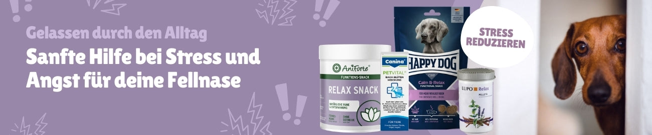 Gesundheit Stress und Angst