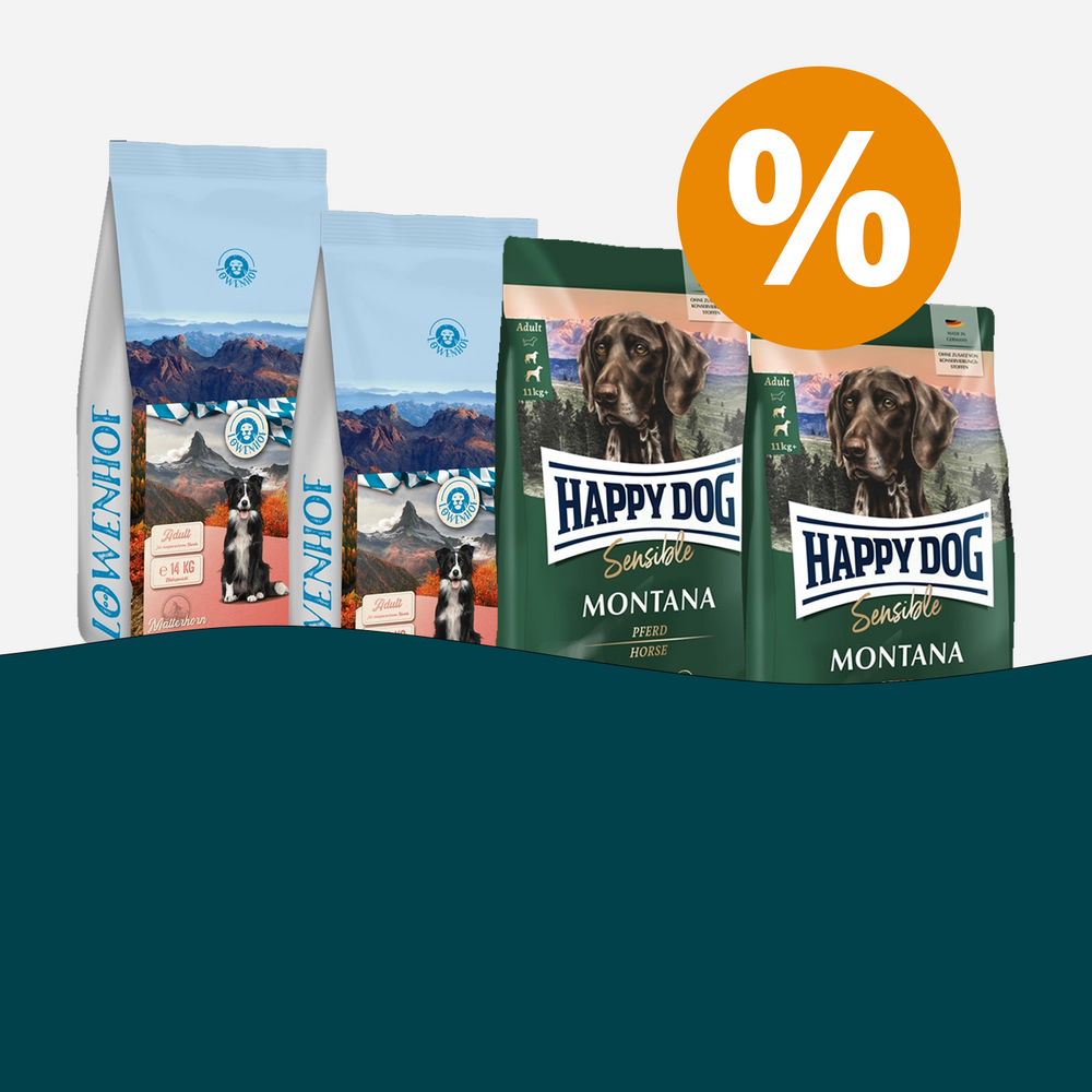 Stumpfes Fell bei Katzen Was tun? Ursachen, Tipps & Lösungen