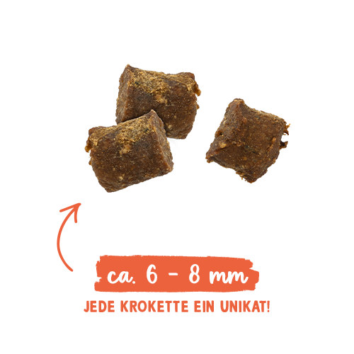 Sanabelle Juicy Nordsee-Lachs