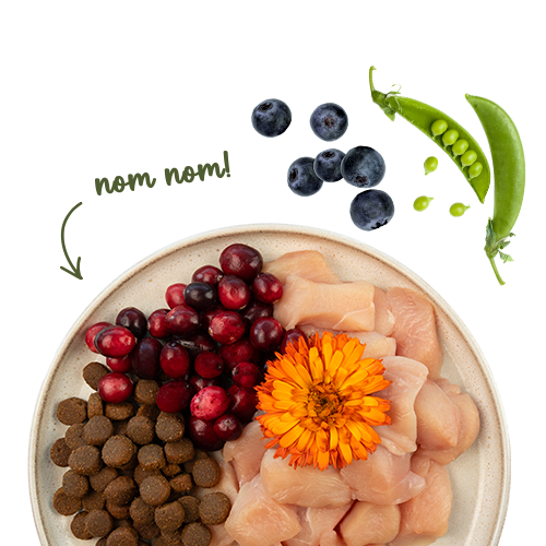 Sanabelle Grande Huhn