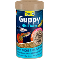 Tetra Guppy