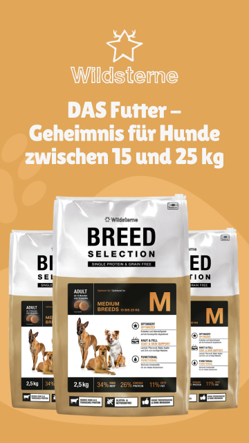 Wildsterne Breed Selection Adult M Banner