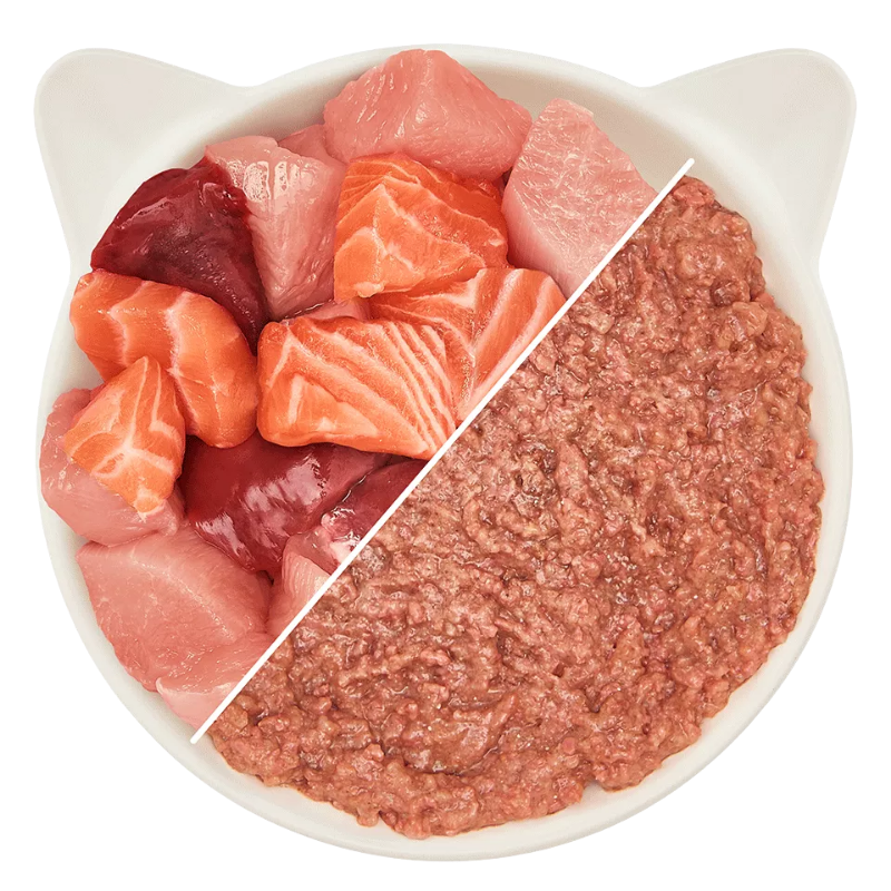 Wow Cat Dose Adult Huhn & Lachs 400g