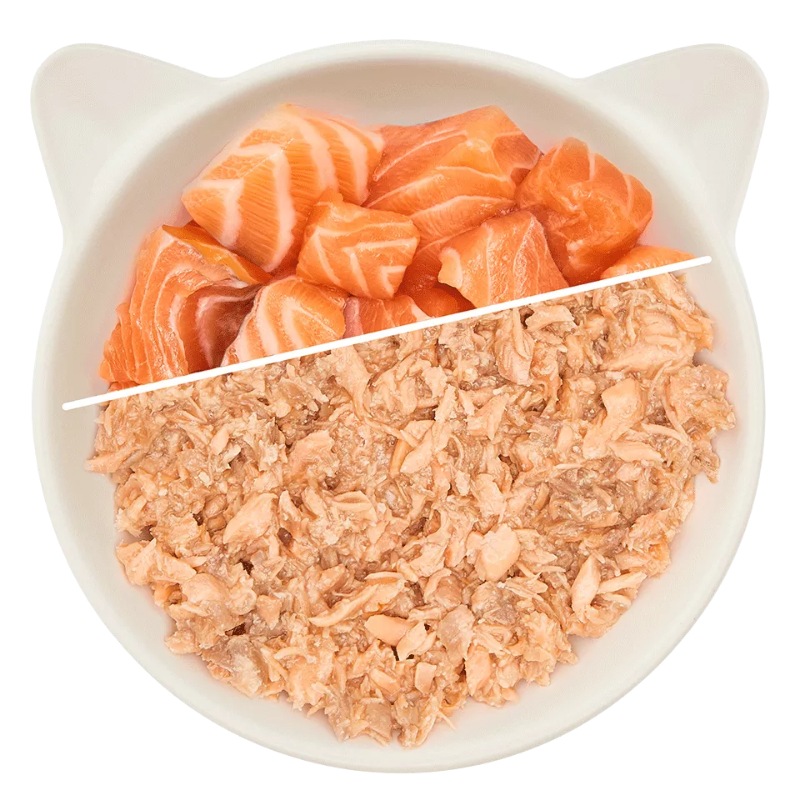 Wow Cat Dose Adult Lachsfilet 70g