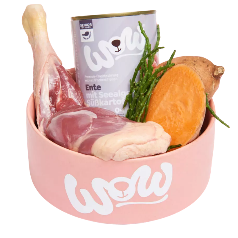 Wow Dog Dose Senior Ente 400g