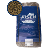 Allco Forelle schwimmend