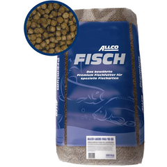Allco Forelle schwimmend
