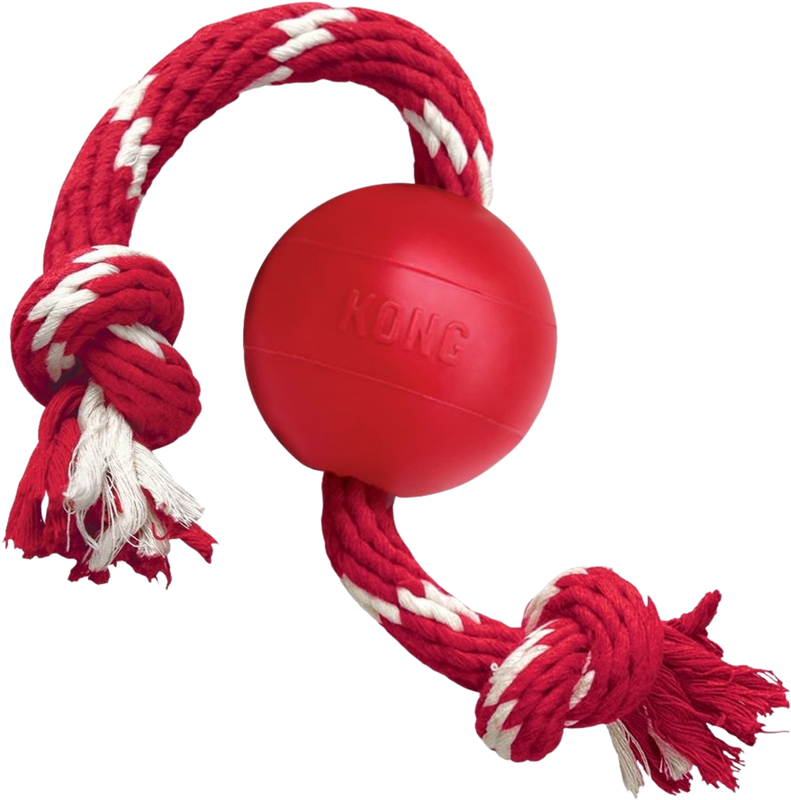 KONG Ball mit Seil
