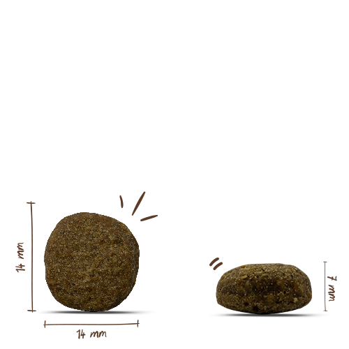 bosch HPC Energy Extra