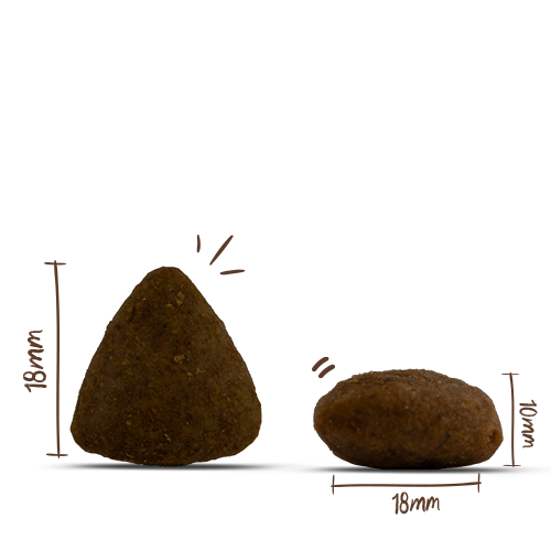 bosch HPC MENUE Adult Nordsee-Lachs