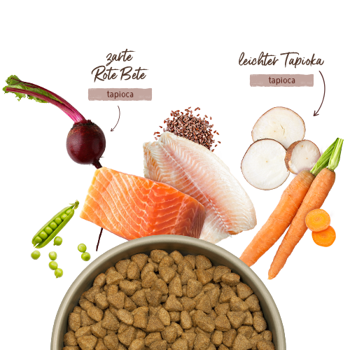 bosch HPC MENUE Adult Nordsee-Lachs