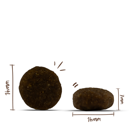 bosch HPC MENUE Junior Tierwohl-Pute