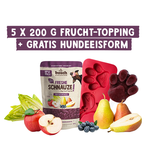 Bosch Freshe Schnauze Aktionsbox Topping + Eisform