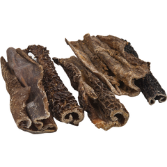 BTG Classic Dog Pansen Natur 5000 g