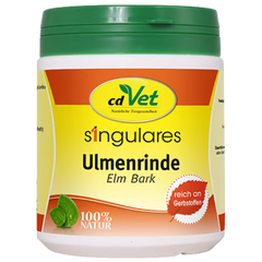 cdVet Singulares Ulmenrinde (europäisch)