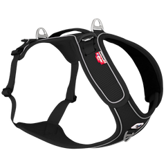 Curli Belka Geschirr Adjustable Neck