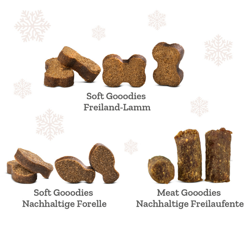 Goood Adventskalender