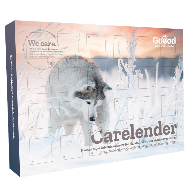 Goood Adventskalender