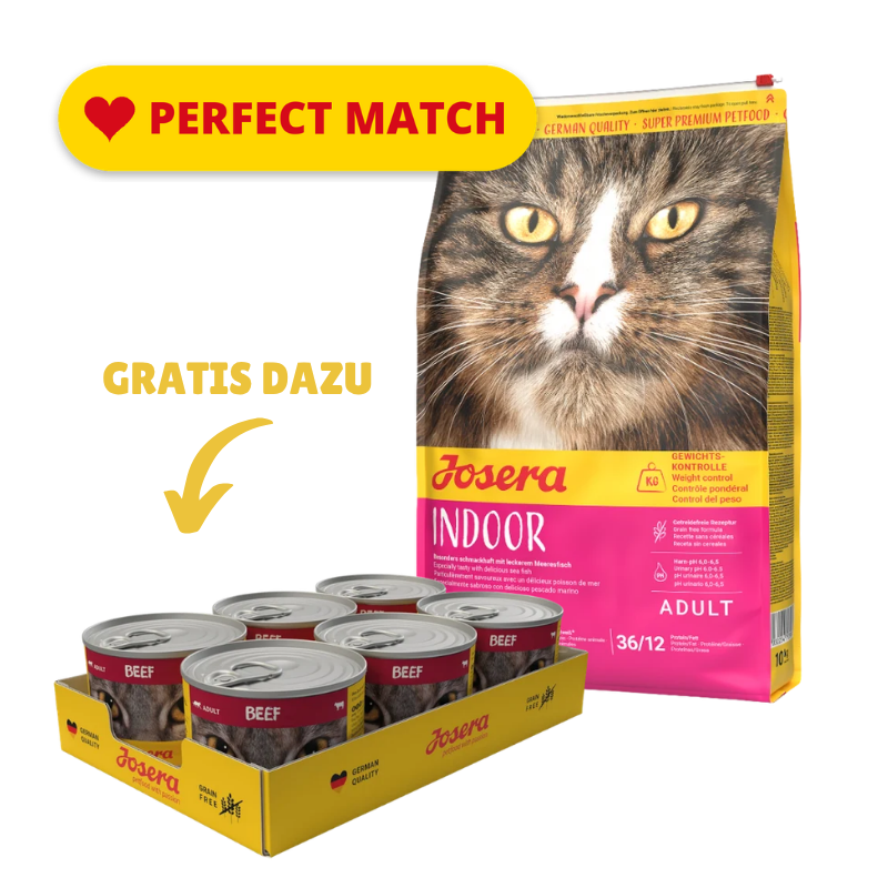 Josera Cat Indoor 10 kg + GRATIS Josera Cat Beef 6 x 200 g