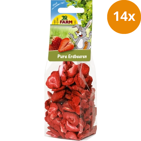 JR FARM Pure Erdbeeren 20 g