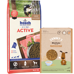 Kombipaket bosch Active