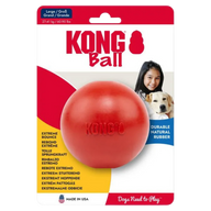 KONG Ball With Hole