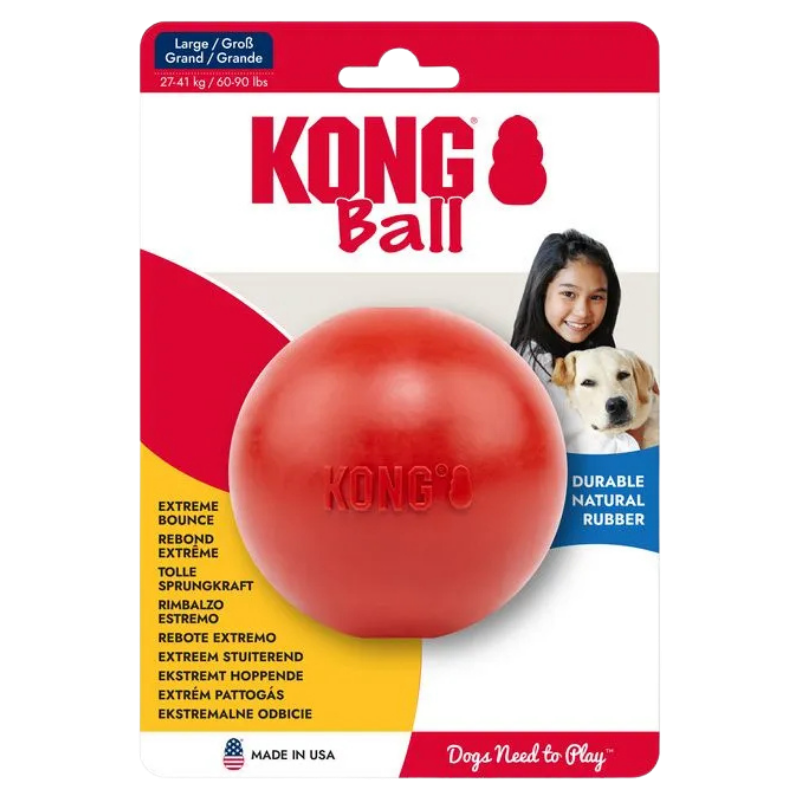 KONG Ball With Hole