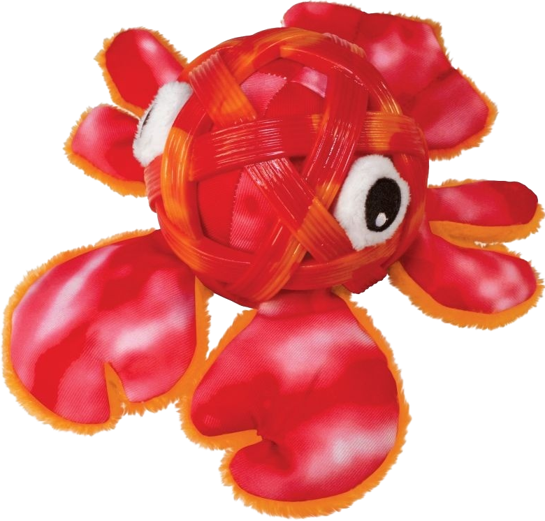 KONG Sea Shells - Lobster günstig kaufen