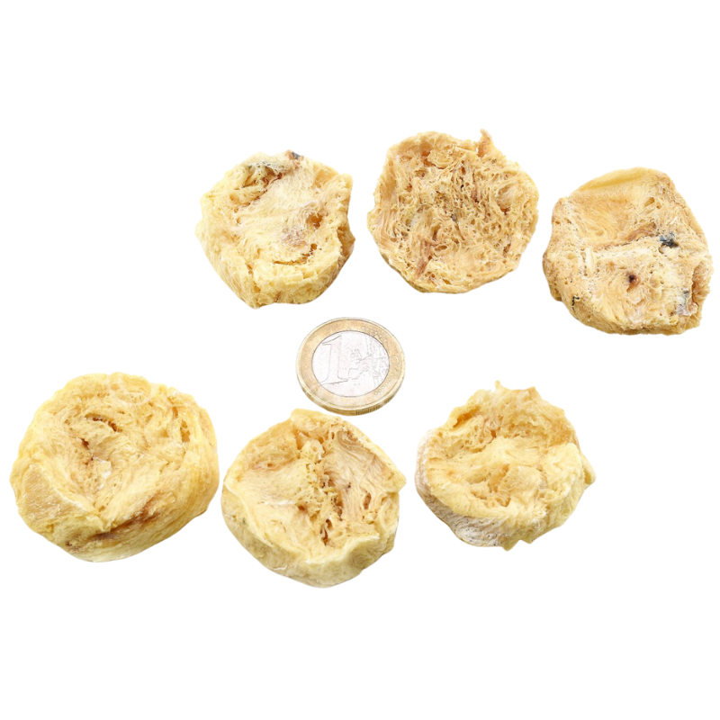 Lunderland Weißfisch-Taler