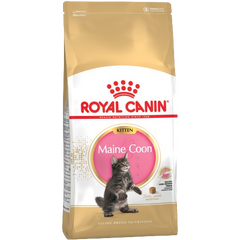 Royal Canin Feline Maine Coon Kitten