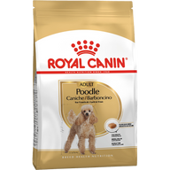 ROYAL CANIN Poodle 30 Adult