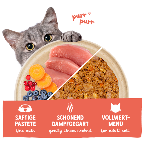 Sanabelle Freshe Mieze Pute & Huhn 100 g