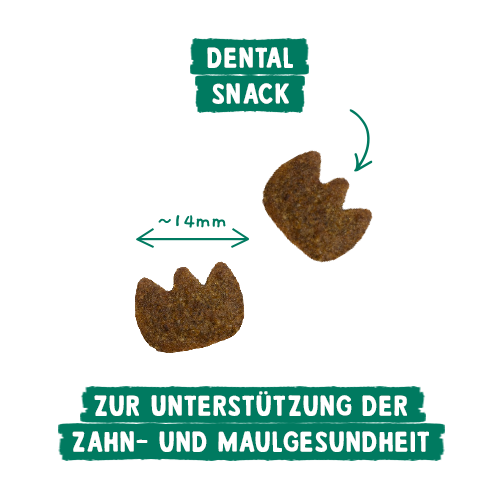 Sanabelle Snack Tetraeder Mix-Display Dental/Hairball #H8573