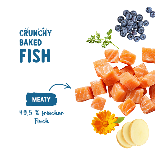 Sanabelle Crunchy-Baked Fish