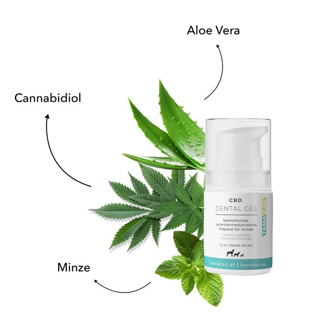 TAMACAN Dental Gel CBD Zahn Zahnfleischpflege