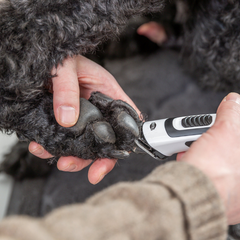 TRIXIE Akku-Schermaschine SLIM TR500