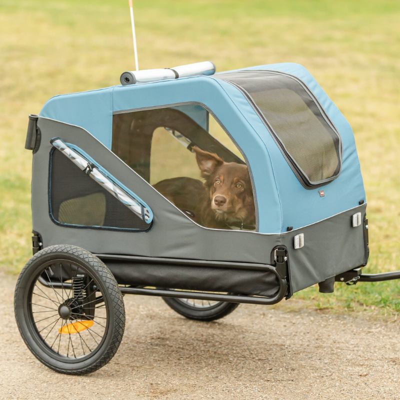 TRIXIE Fahrrad-Anhänger blau/grau
