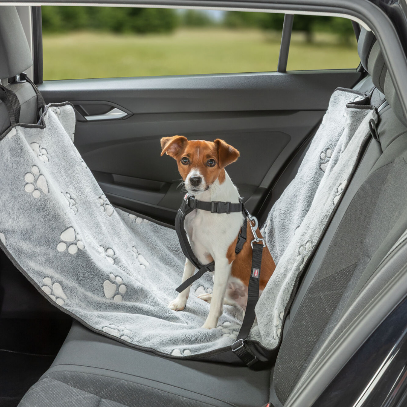 TRIXIE Auto-Schondecke, schmal, auch für Vordersitz