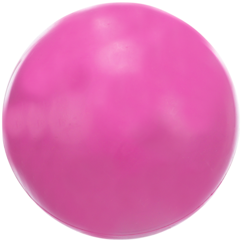 TRIXIE Ball geräuschloses Hundespielzeug