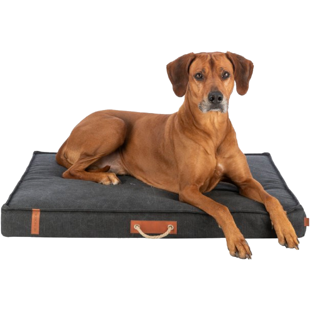 TRIXIE BE NORDIC Matratze Föhr