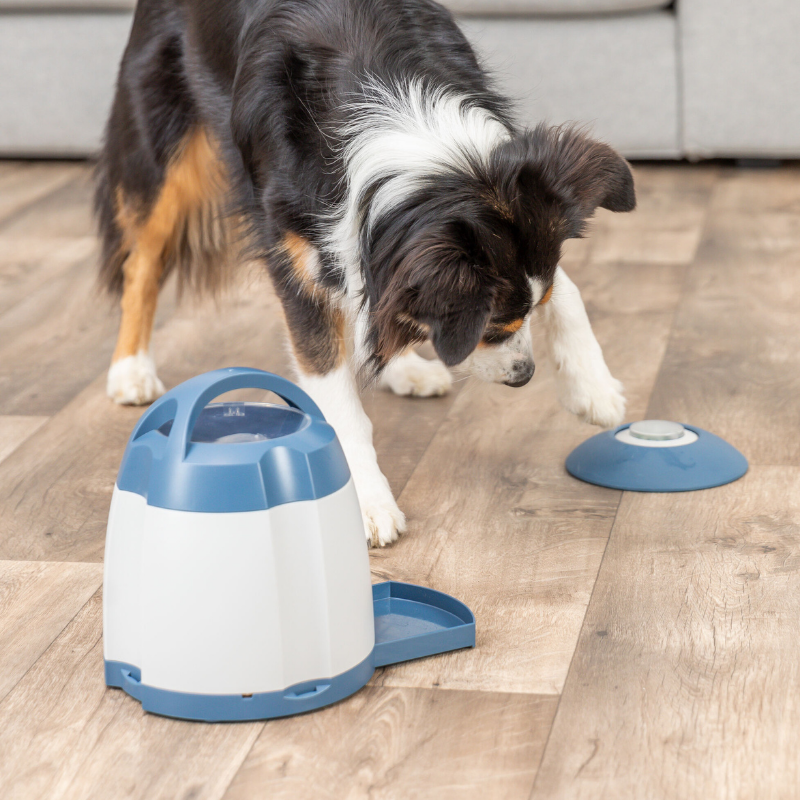 TRIXIE Dog Activity Memory Trainer