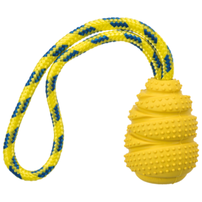 TRIXIE Jumper am Seil, Naturgummi