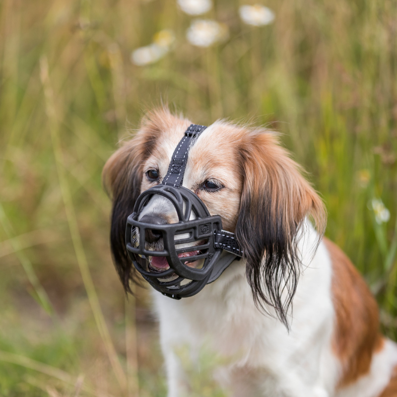 TRIXIE Maulkorb Muzzle Flex