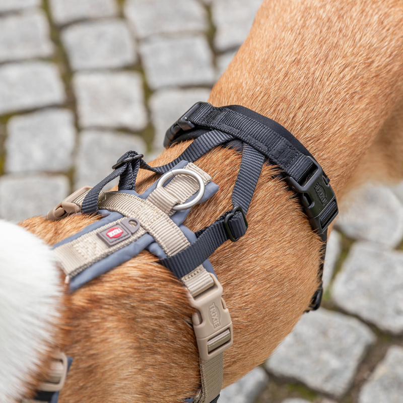 TRIXIE Panik-Adapter Stay für Geschirre